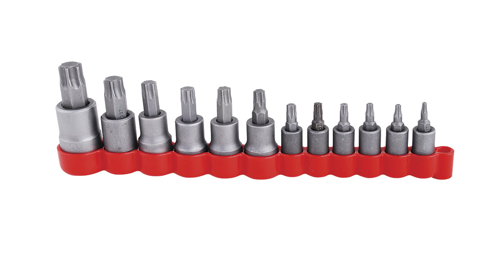 Jgo 12 dados var cuad Torx