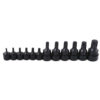 Jgo 12 dados var cuad Torx