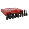 Jgo 16 dados imp torx, hemb1/2