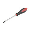 Dest bimat torx T25x4 in