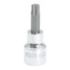 Dado pta Torx 3/8 in T60
