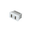 Módulo USB doble 1/3, línea Premium, color blanco Surtek
