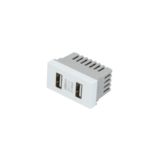 Módulo USB doble 1/3, línea Premium, color blanco Surtek
